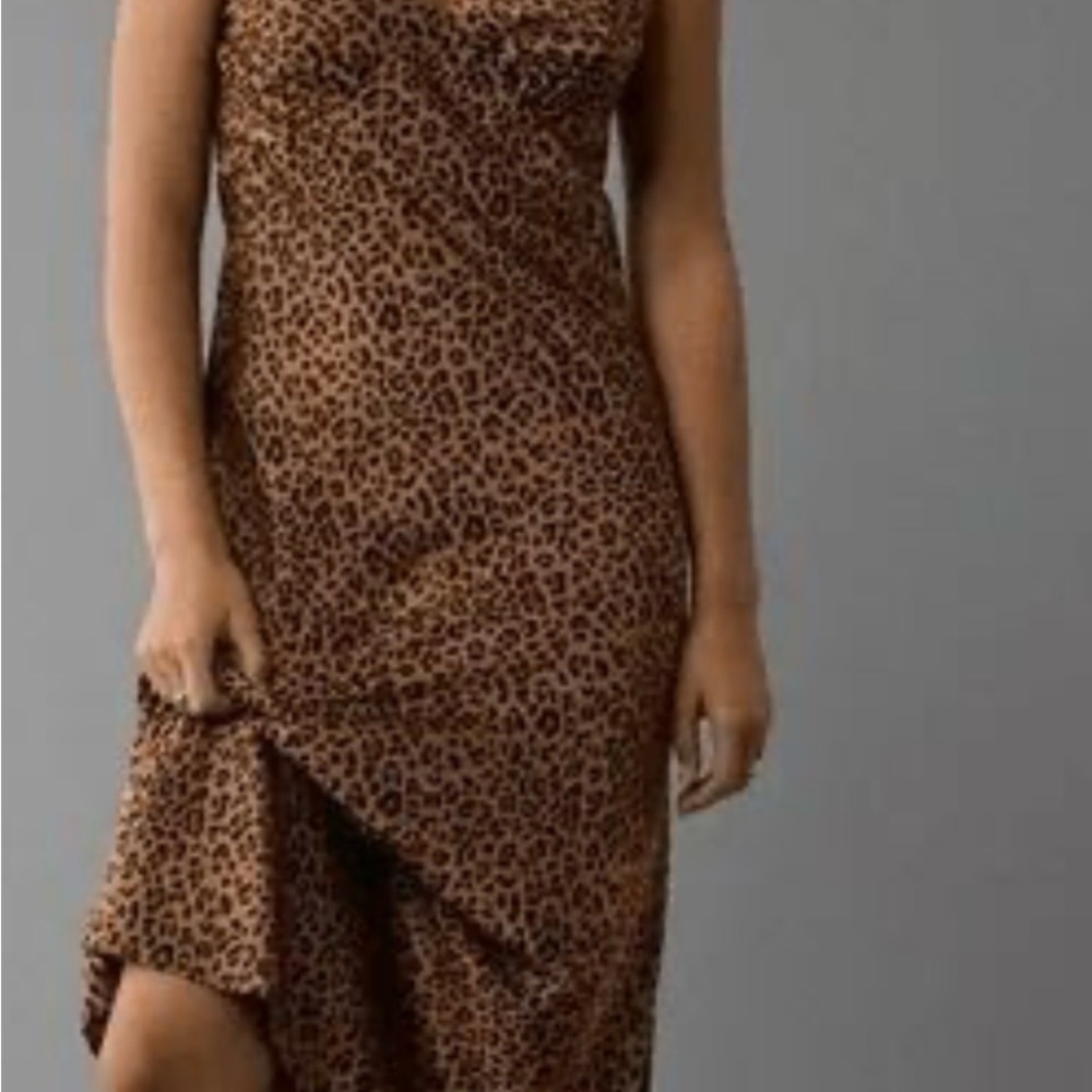 American Eagle Outfitters Asymmetrical Leopard Print Dress